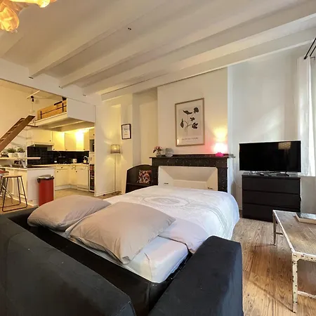 Apartment Le Vogue - 4-6p - Hypercentre-metro